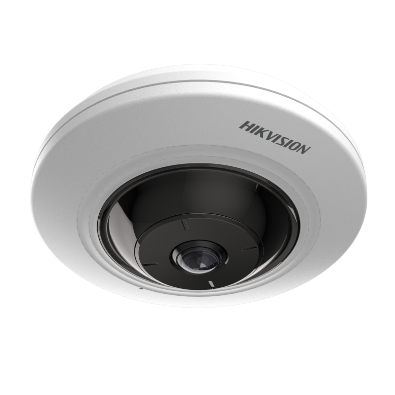 IP kaamera DS-2CD2955G0-ISU 5MP kalasilm valge